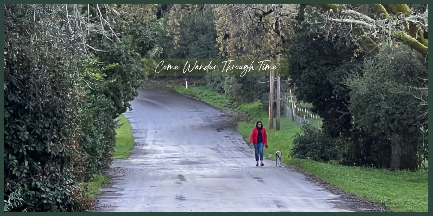Come Wander Through Time — a person walking a dog down a misty Napa Valley lane